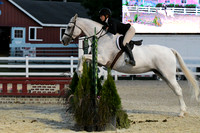 HSM_0522