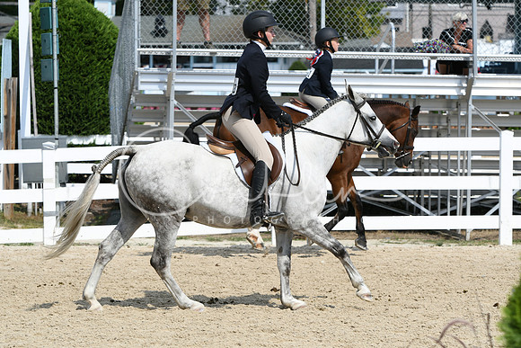 HSM_6437