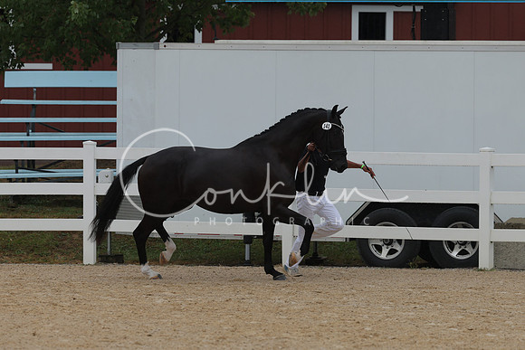 HLK_3677