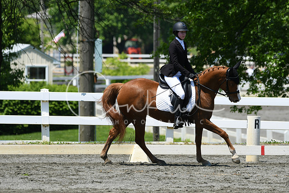 HSM_1564