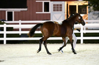 HSM_5894
