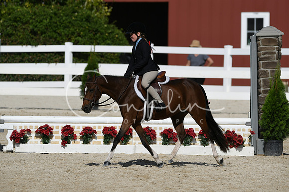 HSM_3954
