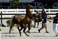 HSM_4675