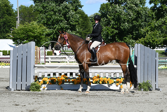 HSM_9131