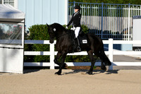 HSM_4232