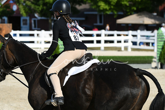 HSM_4309