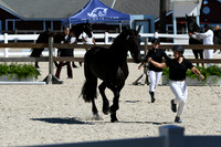 HSM_4729