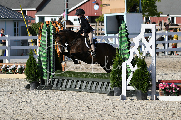 HSM_4446