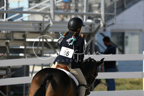 HSM_4146