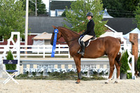 HSM_0478