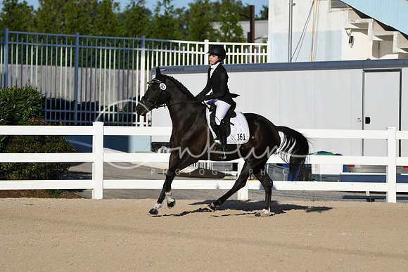 HSM_4258