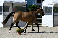 HSM_4649