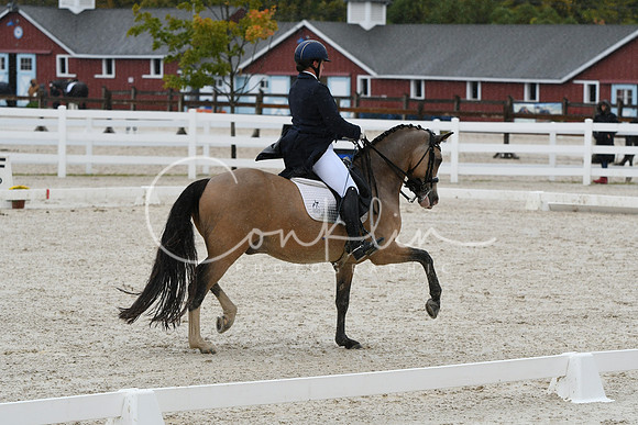HSM_0277