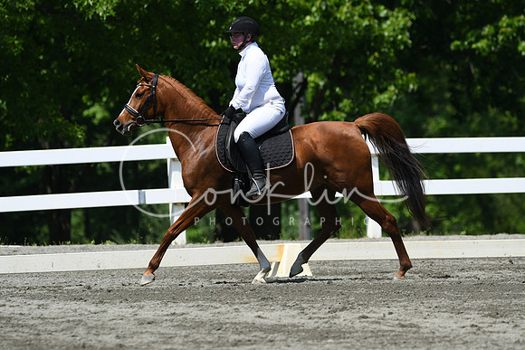HSM_2213