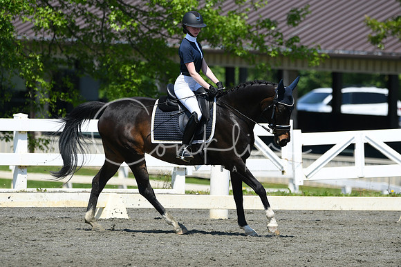 HSM_1347