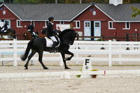 HSM_0159