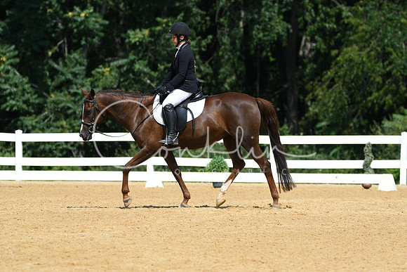 HSM_1197