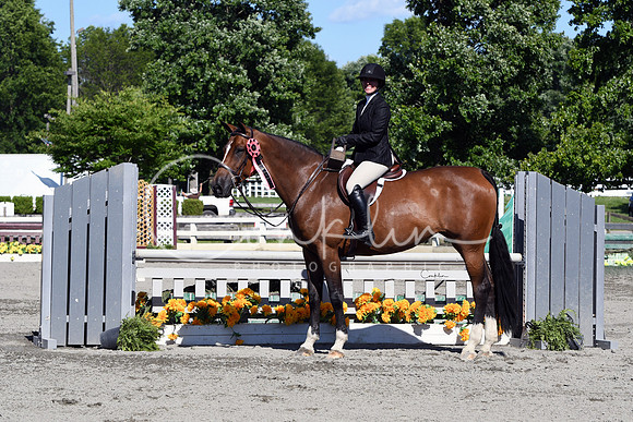 HSM_9133-1