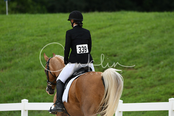 HSM_0234