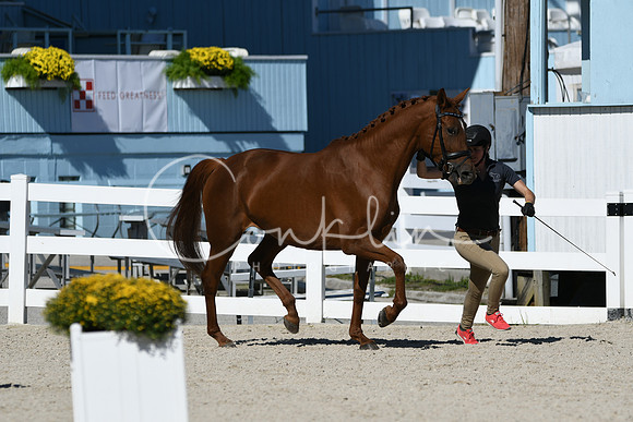 HSM_4537