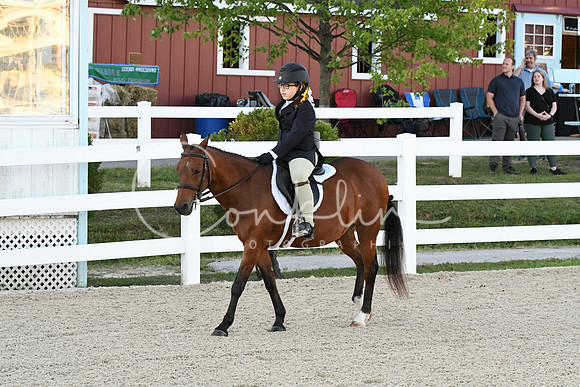 HSM_1557