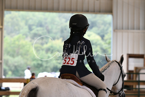 HSM_5919