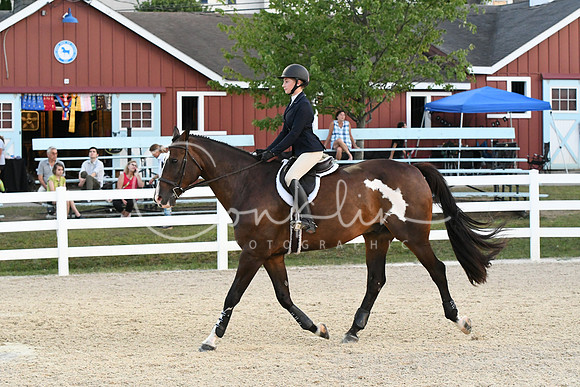 HSM_0393
