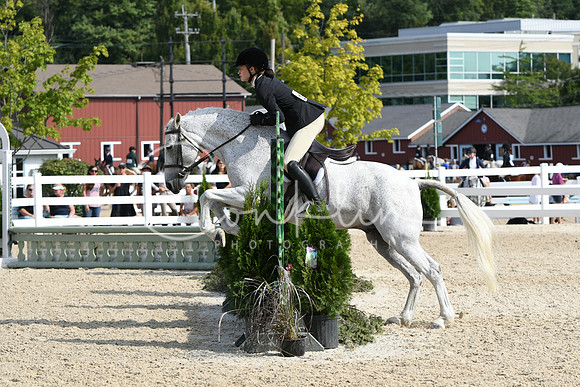 HSM_6071