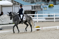 HSM_0593