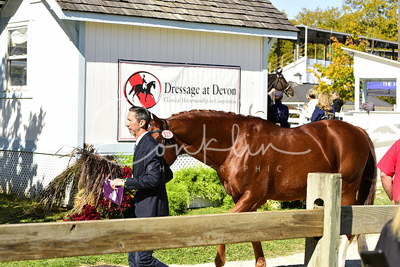 _MDS3647
