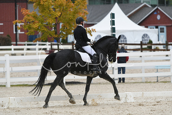 HSM_0461