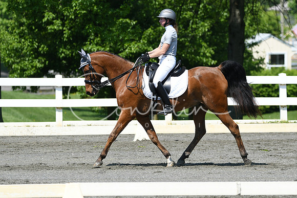 HSM_1300