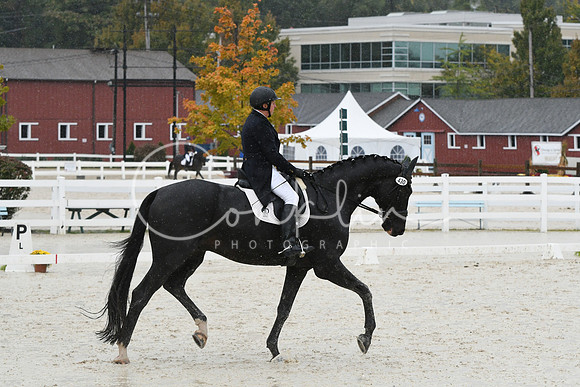 HSM_0822