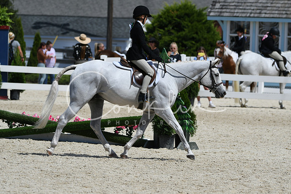 HSM_3078