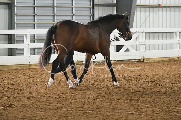 HSM_3739