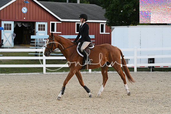 HSM_0385