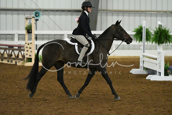 HSM_6307