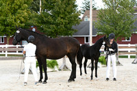 HSM_6338