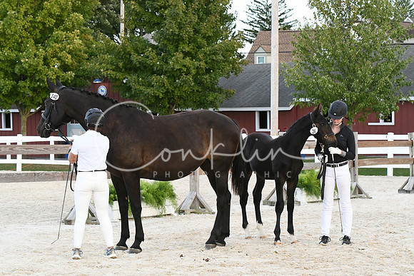 HSM_6338