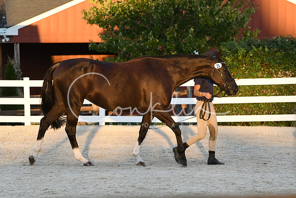 HSM_6398