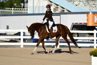 HSM_4242