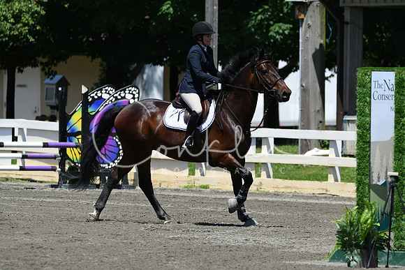 HSM_3081