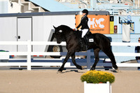 HSM_4298