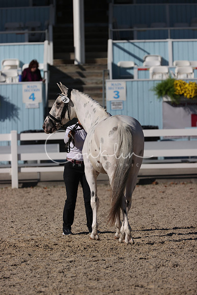 RJC30378