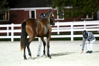 HSM_5890