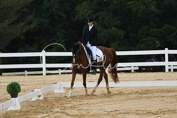 HSM_9564