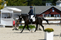 HSM_4804