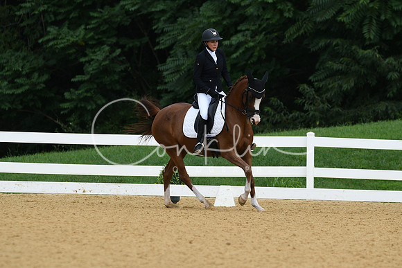 HSM_1081