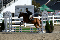 HSM_1351