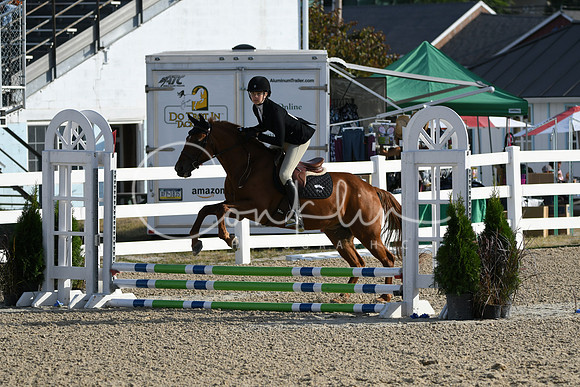 HSM_1351